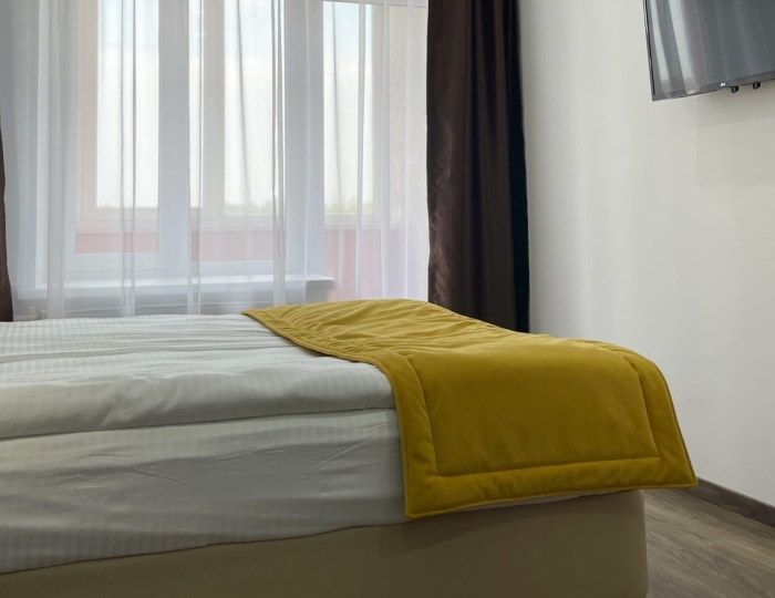 Комфорт 1-местный - Санаторий «Урал» Хомутинино