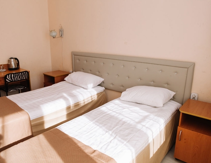 Стандарт 2-местный - Санаторий «Урал» Хомутинино