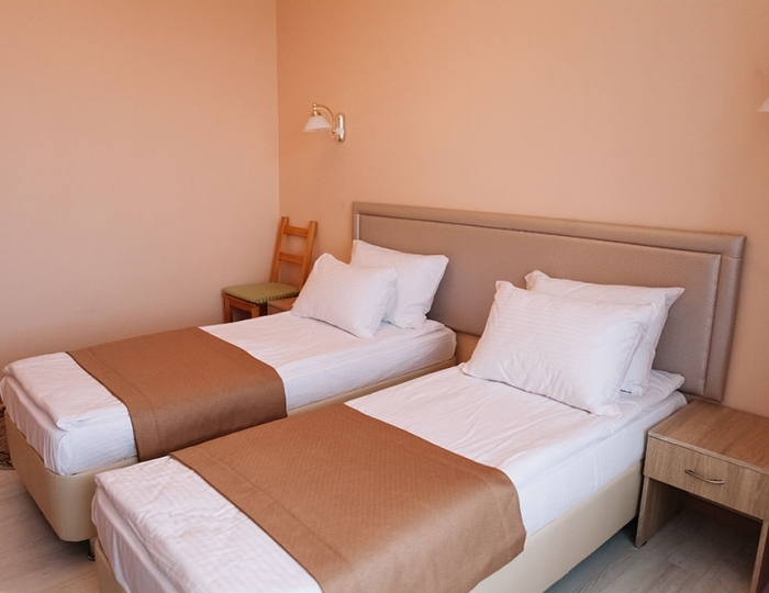 Улучшенный стандарт 2-местный - Санаторий «Урал» Хомутинино