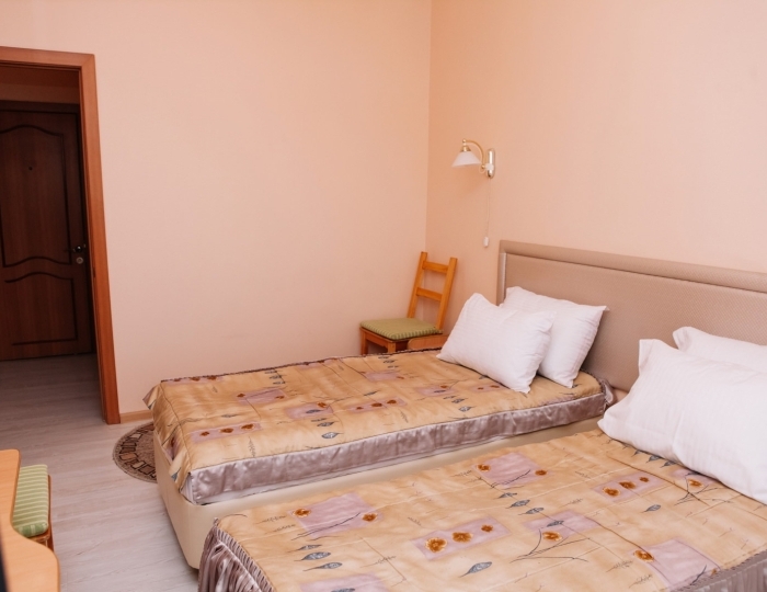 Улучшенный стандарт 2-местный - Санаторий «Урал» Хомутинино